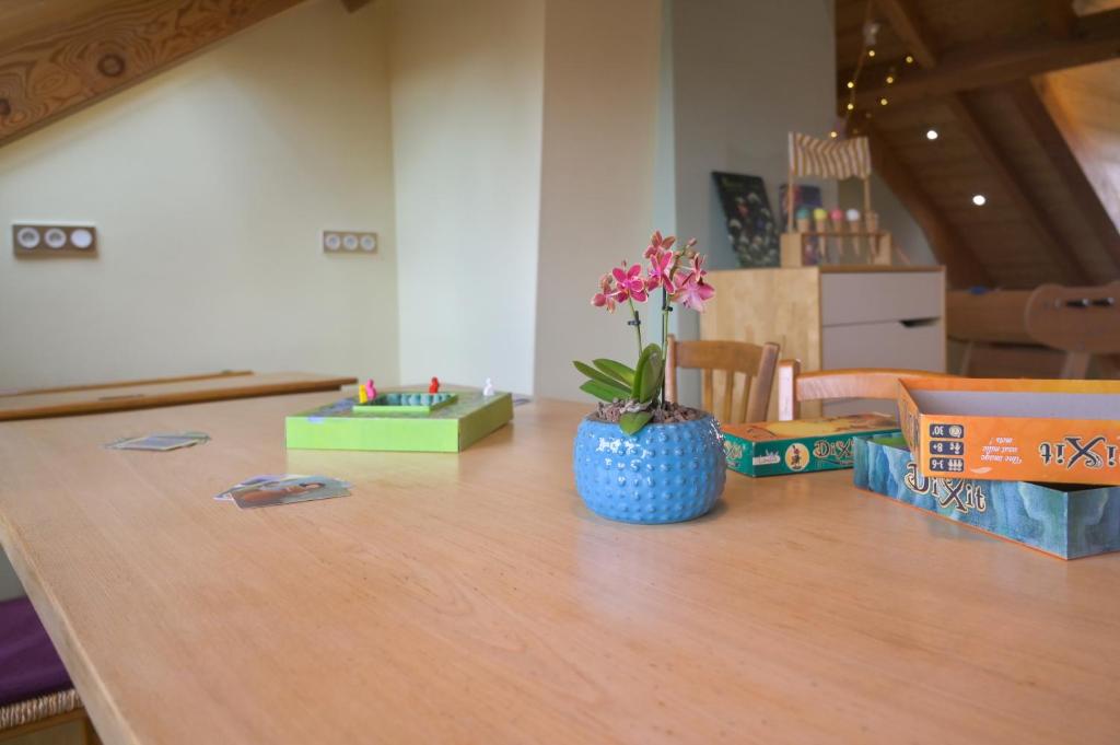 Grand duplex familial 113 m - Jardin - Colmar Gare - 4 Chambres – photo 56