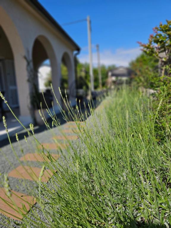 Ogród w obiekcie Villa Bellina Muraj