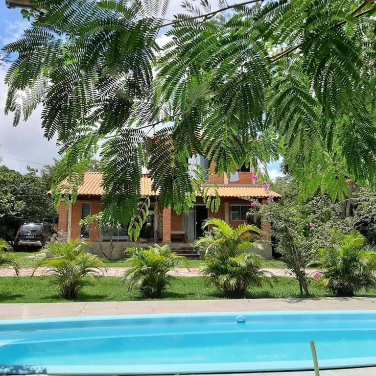 a house with a palm tree and a swimming pool at Pousada Floradas da Serra in Chapada dos Guimarães