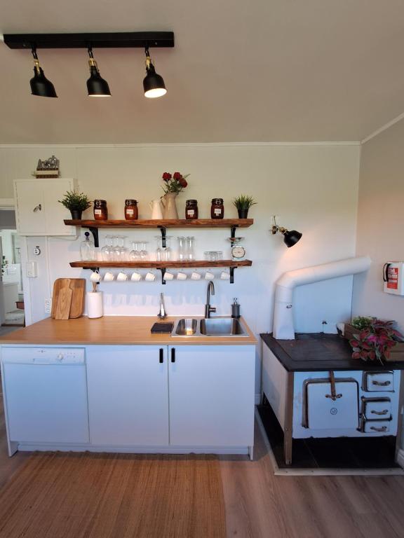 Η κουζίνα ή μικρή κουζίνα στο Hallfreðarstaðir 1 Apartments