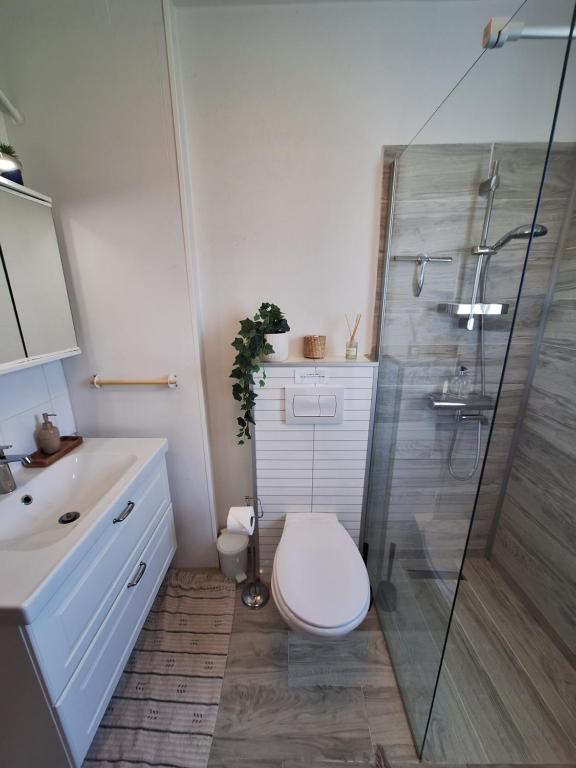 Ένα μπάνιο στο Hallfreðarstaðir 1 Apartments