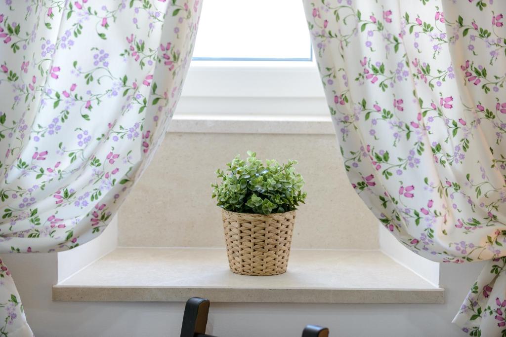 Fotografia z galérie ubytovania Apartment MiNo v Dubrovníku