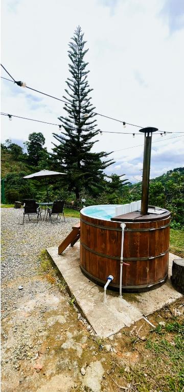 a hot tub in the middle of a park with a tree at Glampling Dos Quebradas in Floridablanca