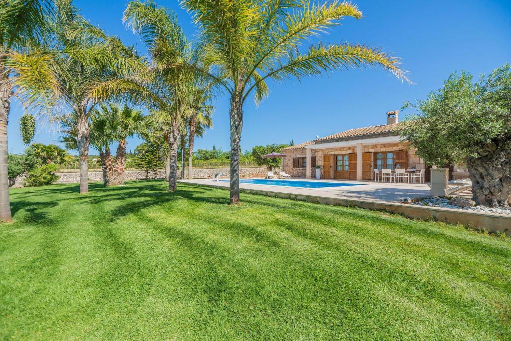 un patio con palmeras y una casa en Villa Muro Garden, en Muro