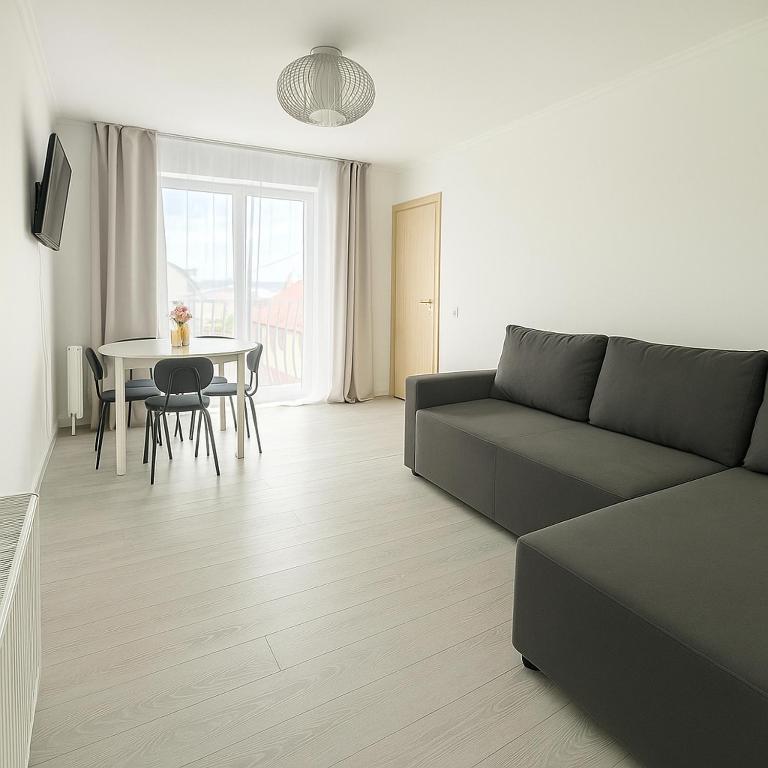 Posezení v ubytování DD Apartments - Iuliu Moldovan