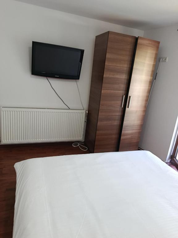TV a/nebo společenská místnost v ubytování Complex Adela Transfăgărășan