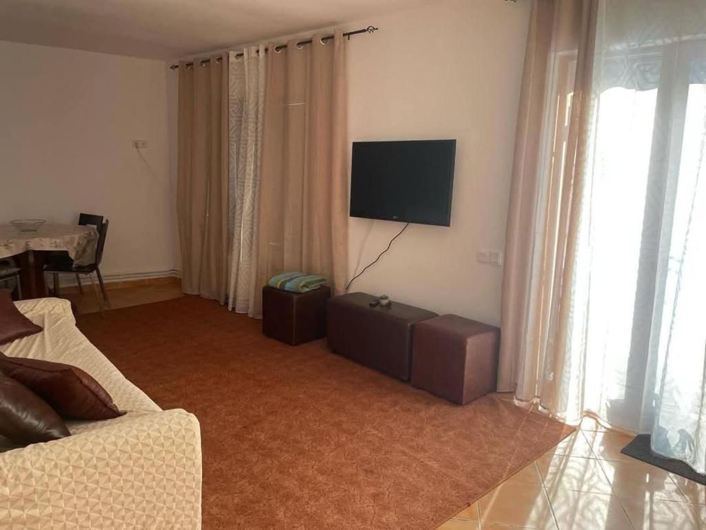TV a/nebo společenská místnost v ubytování Complex Adela Transfăgărășan