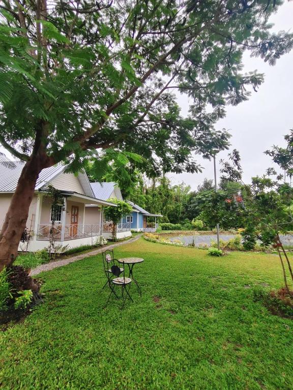 Garður fyrir utan Chiang Khan Dwelling