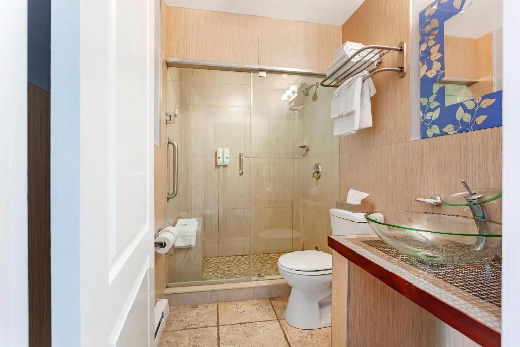 Quality Hotel Fallsview Cascade - Resim 32