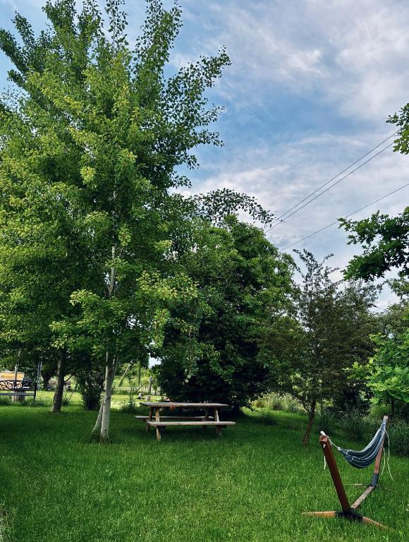 Jardí fora de Glamping Stacja Zieleniec w Nałęczowie