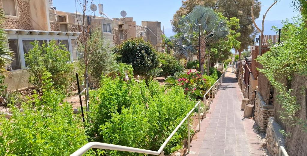 En hage utenfor Aloni - Guest house Dead Sea