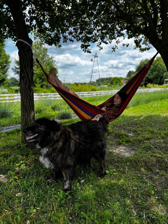 Animal o animals de companyia a Glamping Stacja Zieleniec w Nałęczowie