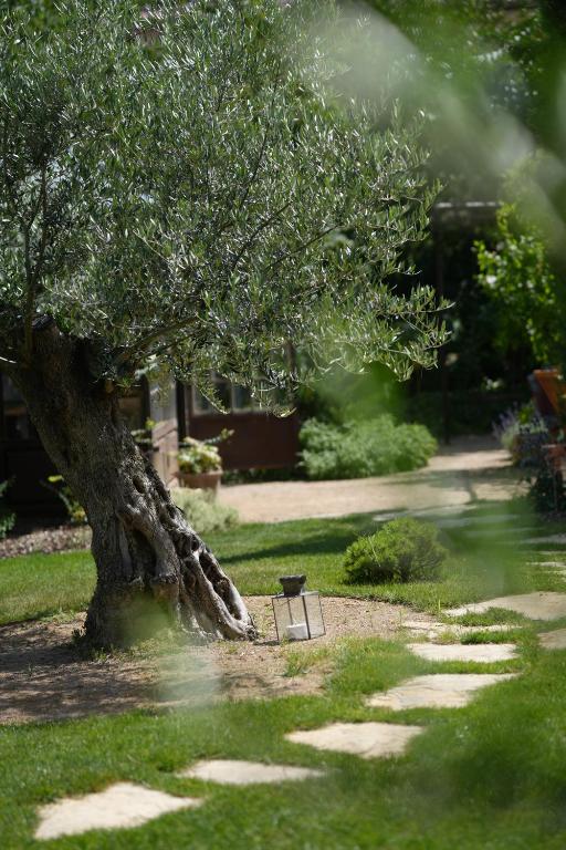 Santolina Etrusca Bed and Breakfast, Sauna, Hammam, Jacuzzi – photo 19