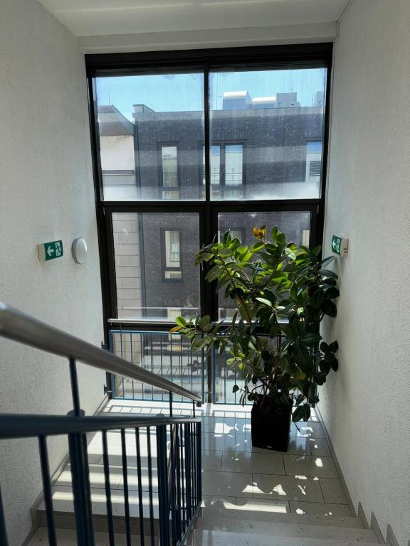 Opera Hotel Köln - Resim 36