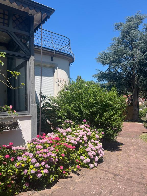 Villa AROHA – photo 9