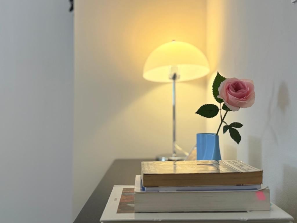 Journey Inn Madrid - Resim 41