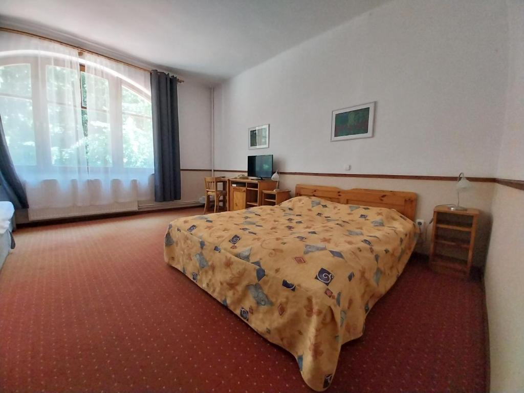 Postel nebo postele na pokoji v ubytování Bakony Hotel