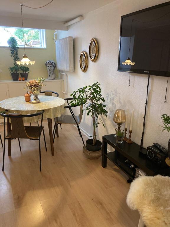 TV a/nebo společenská místnost v ubytování Spangsbo b&b