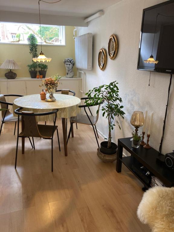 TV a/nebo společenská místnost v ubytování Spangsbo b&b