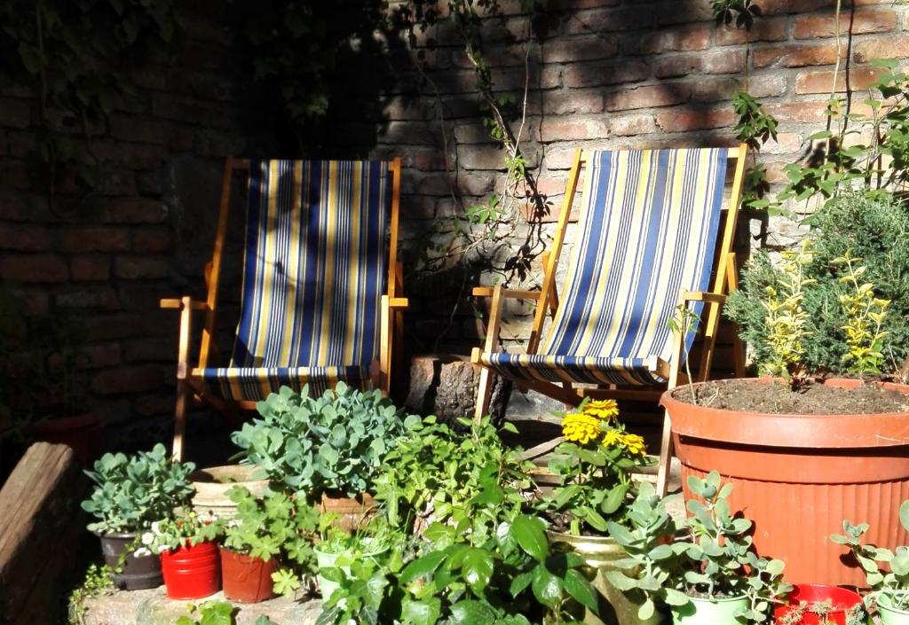 Zahrada ubytování Sun Hostel