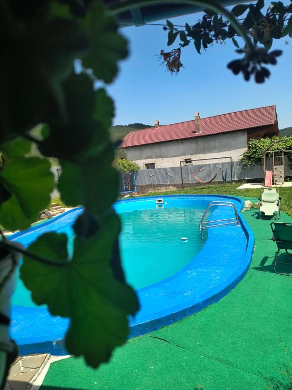 a blue swimming pool with green grass and a building at Casa Anastasia Slănic Moldova in Slănic-Moldova