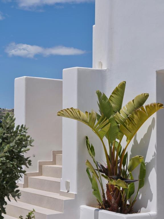 Fotografie z fotogalerie ubytování Le Palme Mykonos v destinaci Klouvas