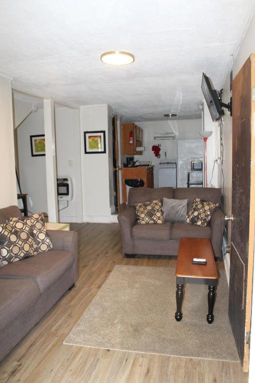 a living room with two couches and a table at HISTORIC HILL APT2 (Downstairs) in Tuskegee