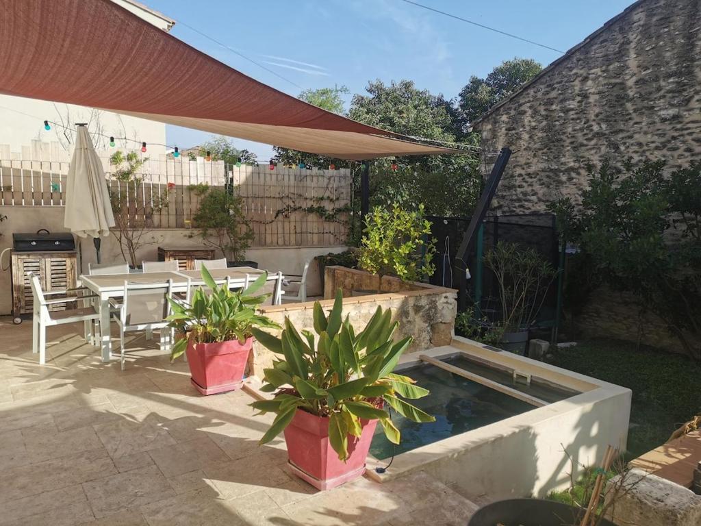 PujautにあるMaison de village de caractèreの鉢植えの植物2本とスイミングプール付きのパティオ