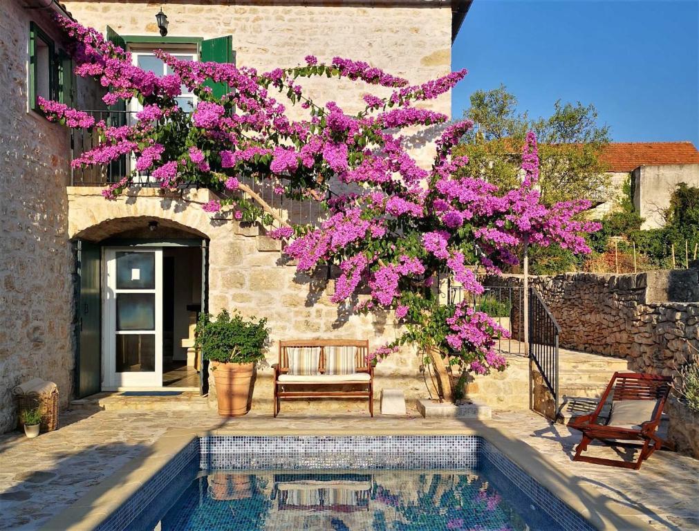 Πισίνα στο ή κοντά στο Villa Ivana