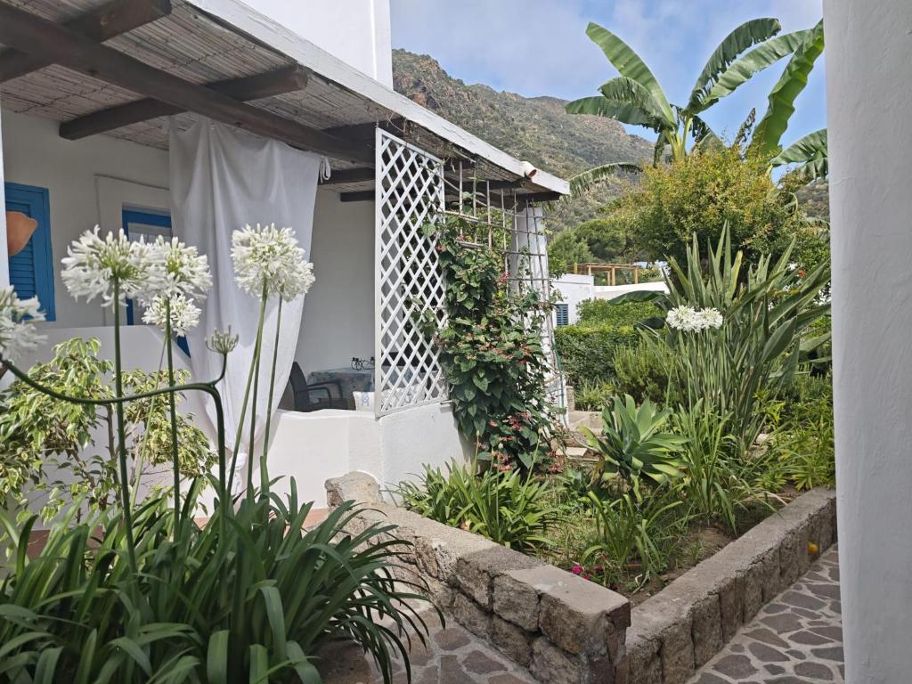 A garden outside Hotel Rodà