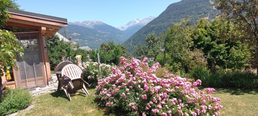 Studio avec solarium - Apartment With Mountain View