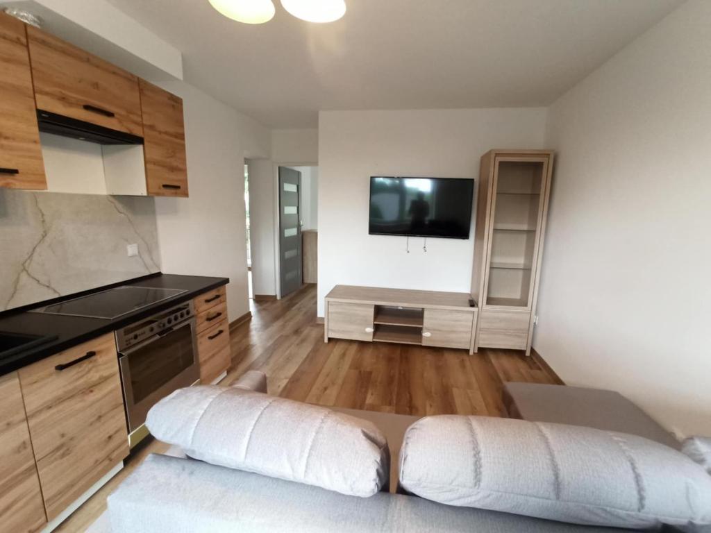 sala de estar con cocina y TV en la pared en Apartament u Marty, en Lublin