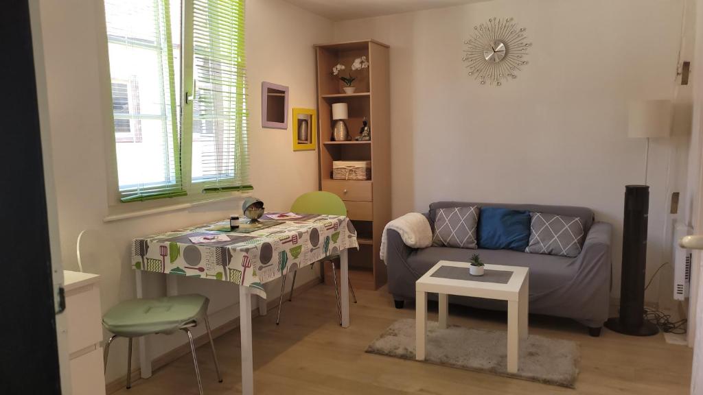 un salon avec un canapé et une table dans l'établissement Petit Tripiers, à Colmar