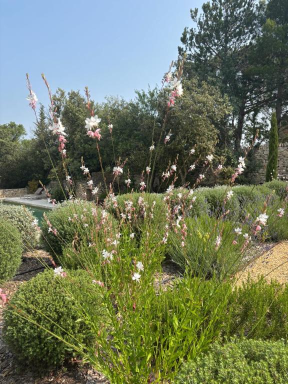 Zahrada ubytování Le jardin suspendu