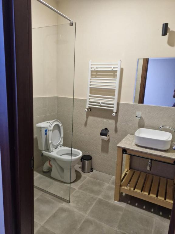 Deluxe Room Bathroom