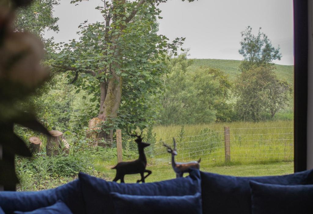 Animals al lodge o a prop