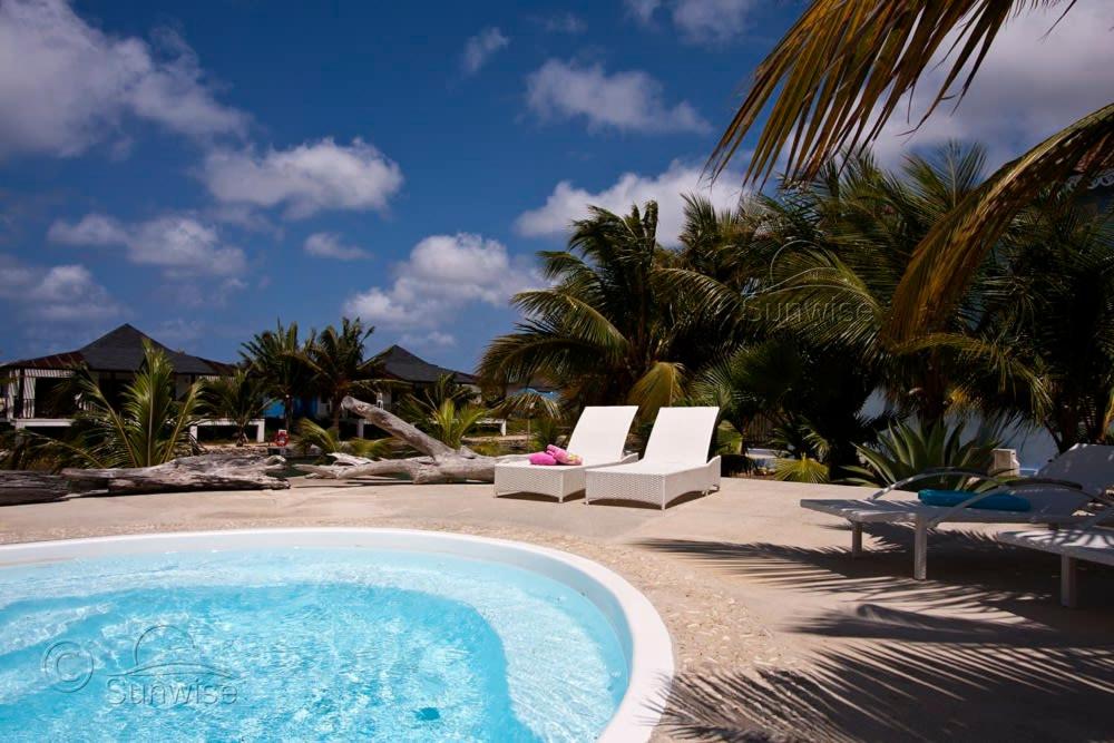 a swimming pool with two lounge chairs and palm trees at El Trupial in Kralendijk