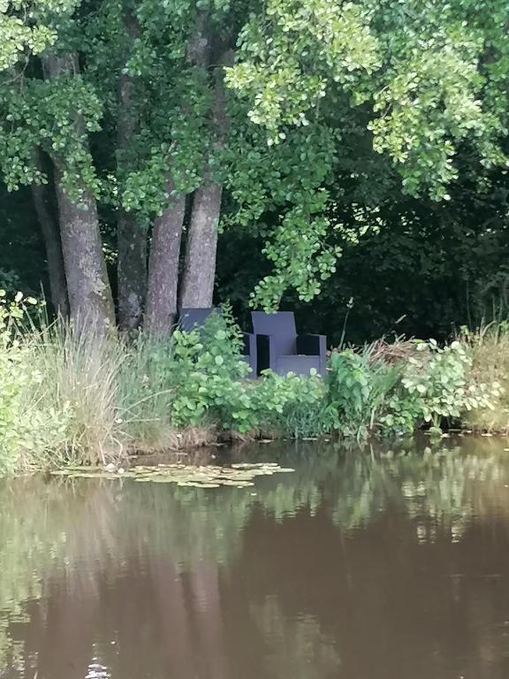 a black chair sitting next to a body of water at gîte des Hortensias in Raon-aux-Bois