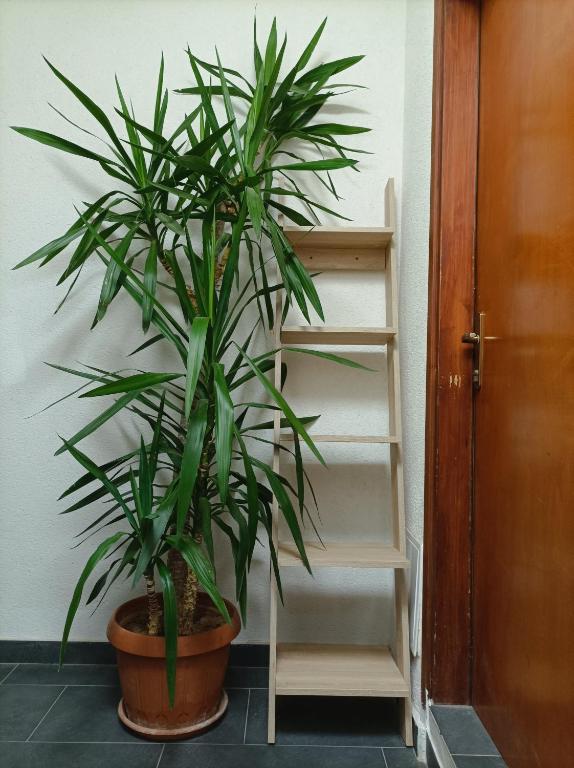 Rooms & Apartment Hegic - 14