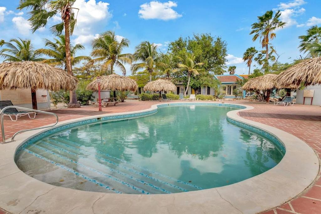 ein Swimmingpool mit Palmen und Sonnenschirmen in der Unterkunft Caribbean Court Apartment Djòdjò in Kralendijk