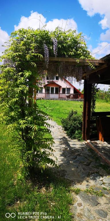 a pergola with a bush of purple flowers at Family Mountain Cottage in Cârțișoara