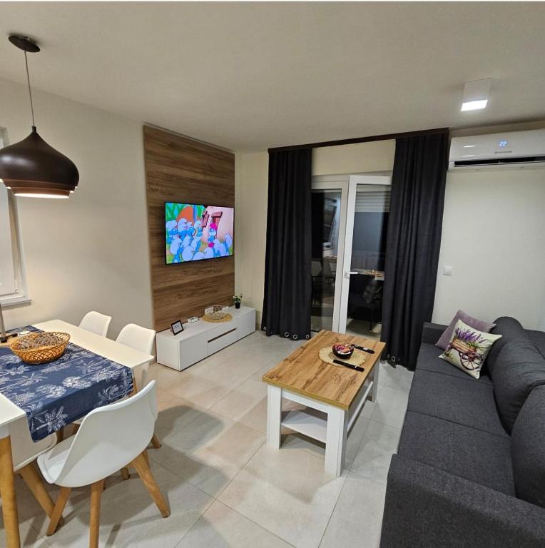 TV a/nebo společenská místnost v ubytování Apartmani Datea