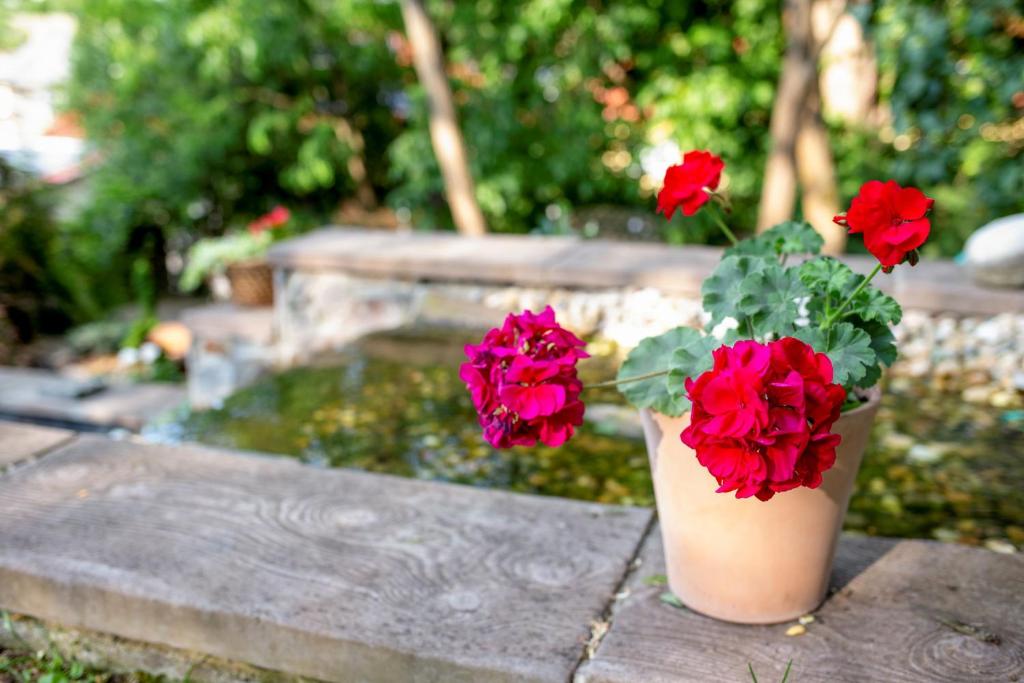 Zahrada ubytování Chillinn Tündérliget Boutique Wellness Egerszalók