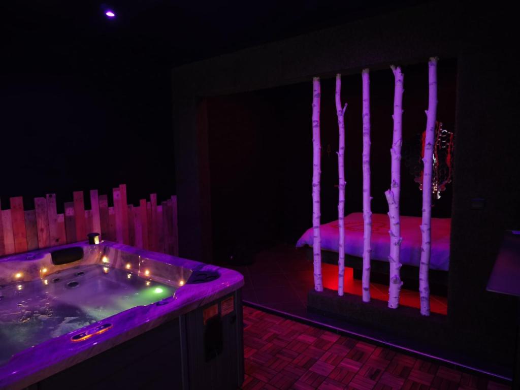 Fotografie z fotogalerie ubytování Suite love Jacuzzi v destinaci Charleroi