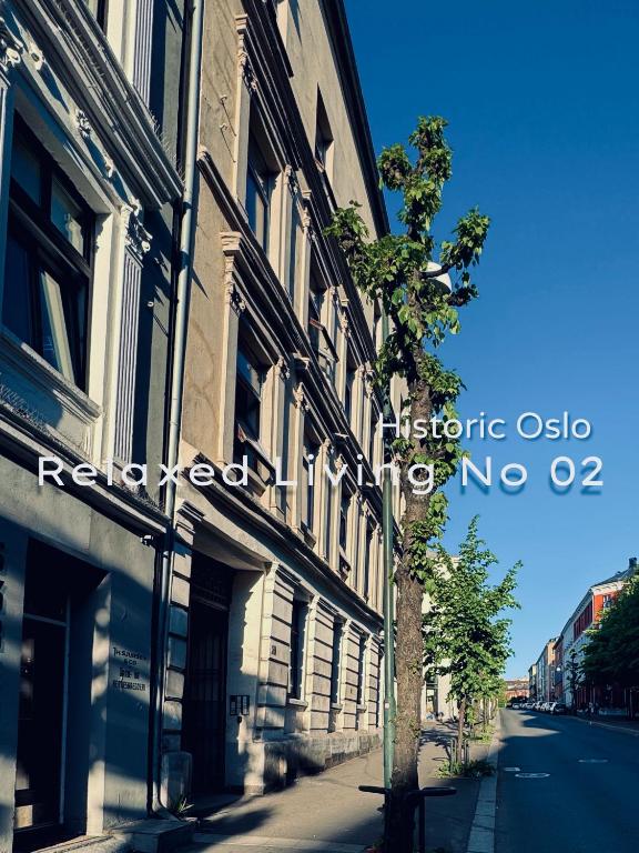 RELAXED LIVING No 02 Historic Oslo - Resim 9