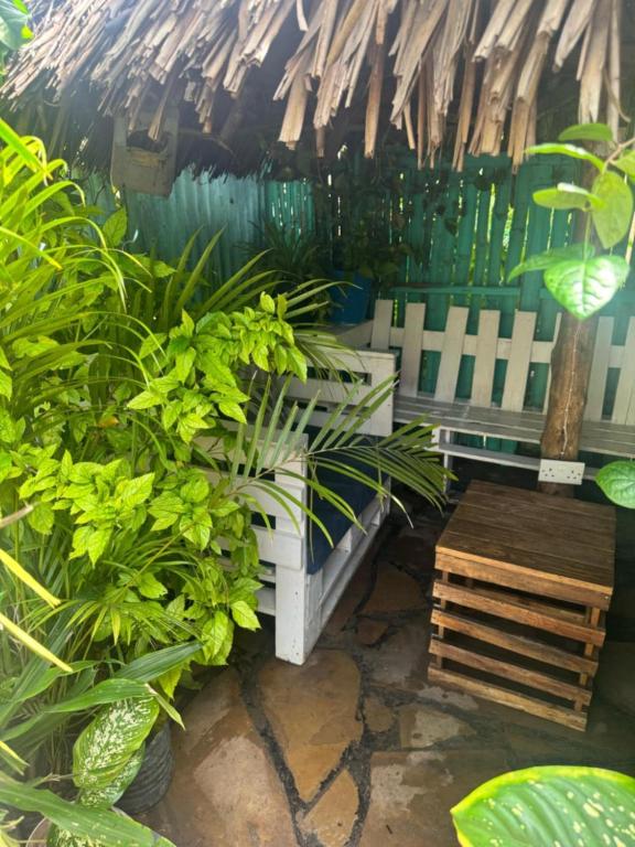 a garden with a bench and some plants at Mount Zion Guest House, Mtwapa Mtomondoni in Mombasa