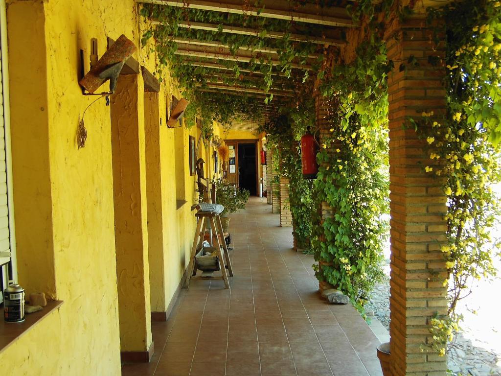 un pasillo vacío con hiedra en las paredes de un edificio en Hotel Rural La Cimbarra en Aldeaquemada