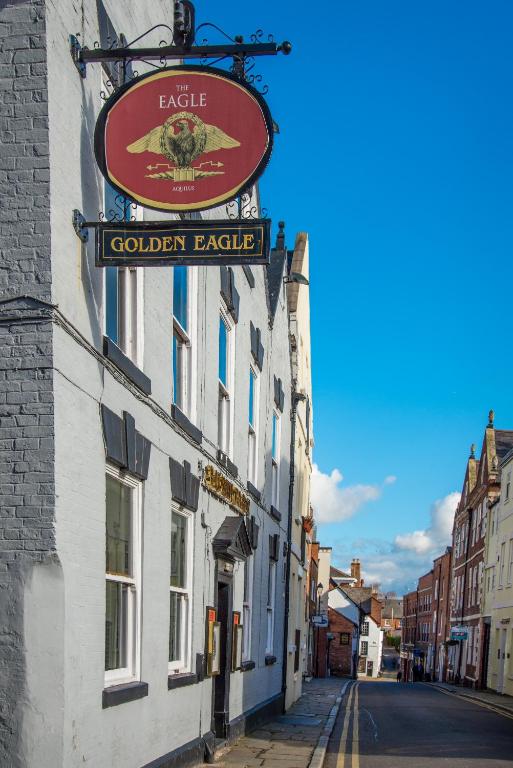 Golden Eagle - Resim 41