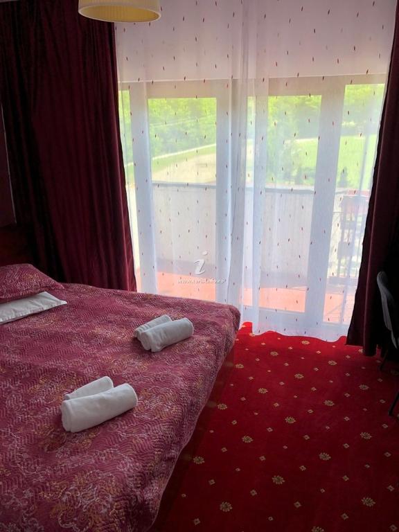 Pensiunea Casa Pădurii Slanic PRAHOVA - Double Room