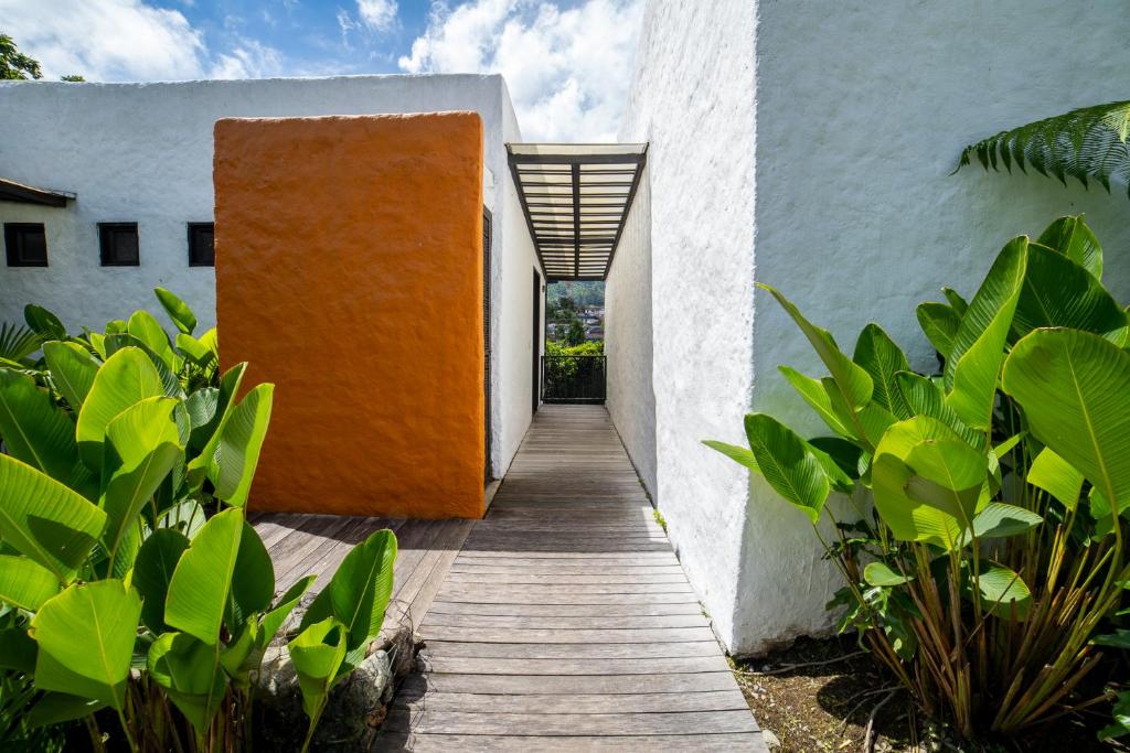 Jardí fora de Salento Pequeño Hotel